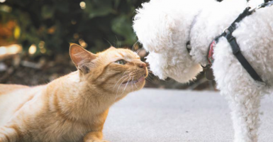 Die neue AWO-Zeitung ist da!