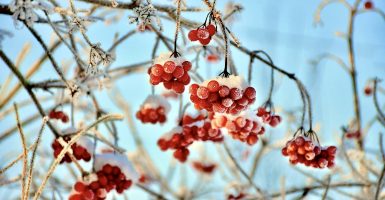 AWO-Café der Begegnung – Winterprogramm – Schwäbisch Hall, AWO Betreute Seniorenwohnanlge